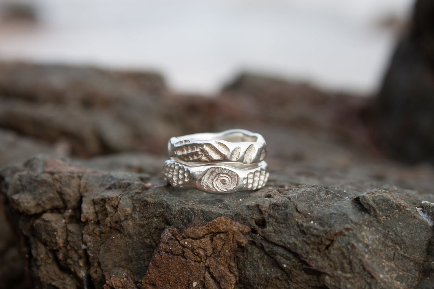 Shoreline Dreamscapes