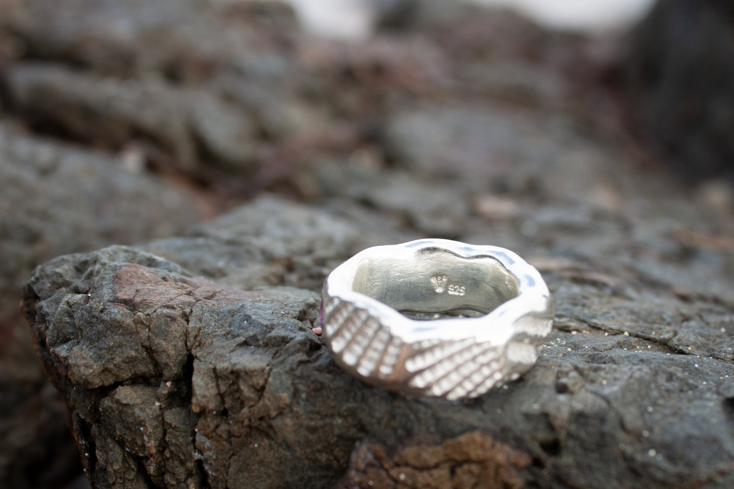 Seabed Ring